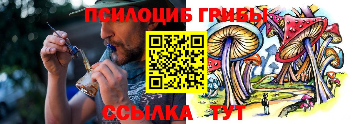 Галлюциногенные грибы Psilocybine cubensis Черняховск