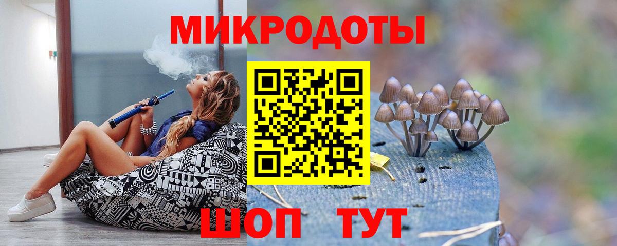 Галлюциногенные грибы Psilocybine cubensis  Вход с VPN  Черняховск 